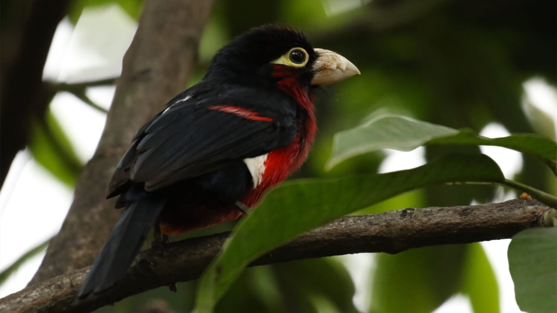 爱游戏中国官方网站平台-“逆转瞬间：逆风翻盘的经典奇迹”，逆风反转什么意思