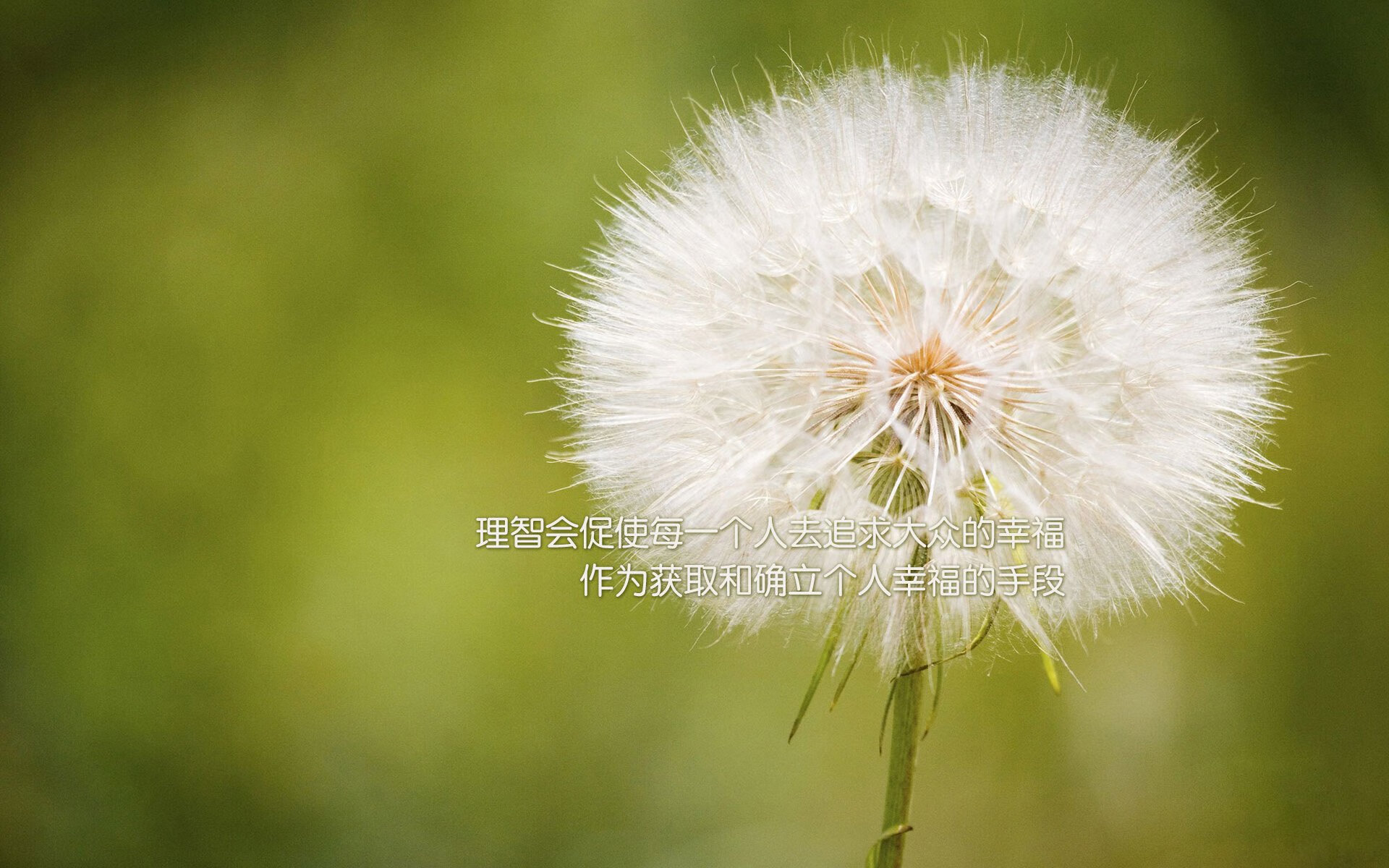 爱游戏登录入口-意大利柔道选手在男子比赛中获得铜牌，法国柔道奥运冠军