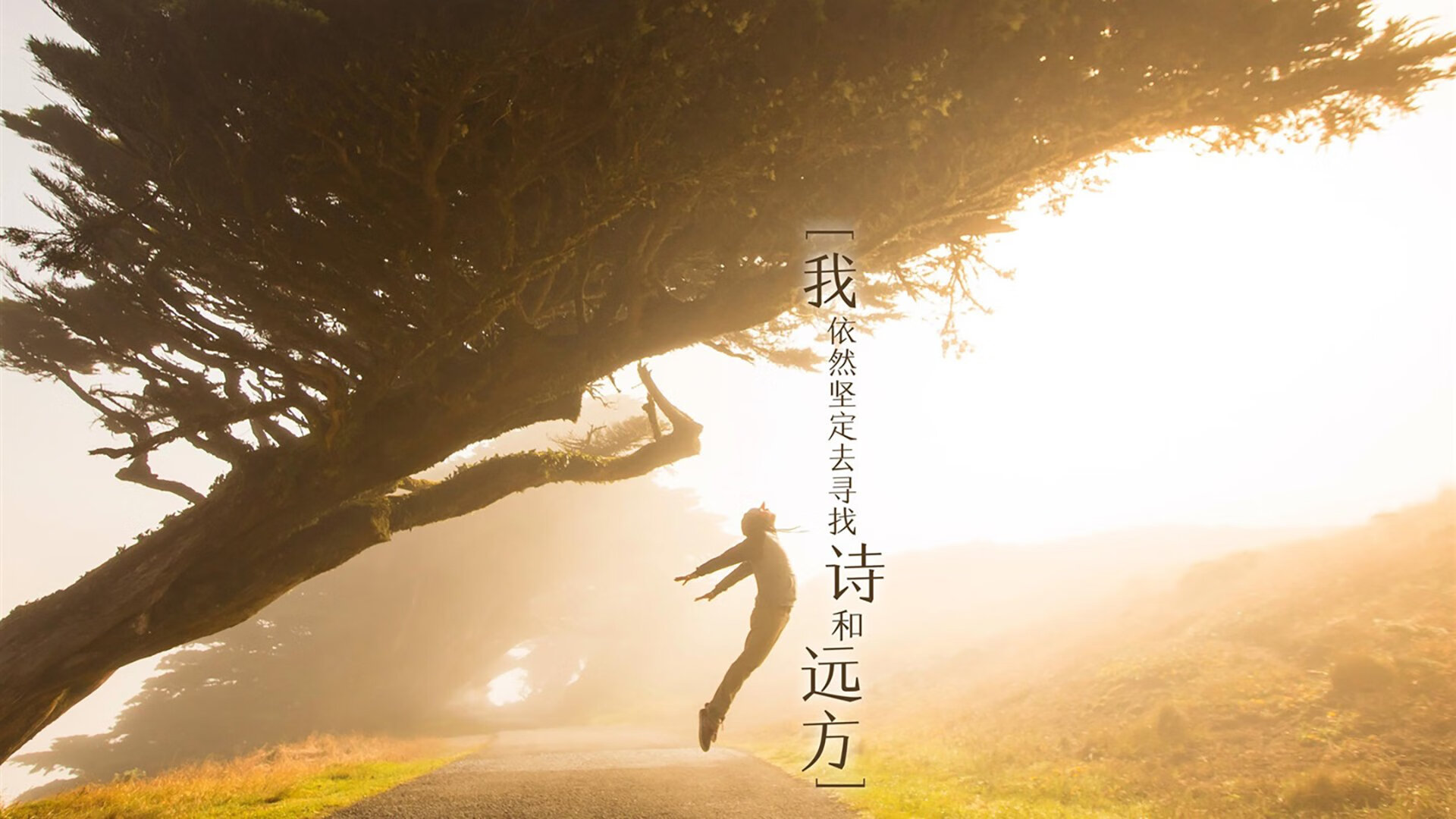 -EDG将引入VR战术教学内容，edg引进