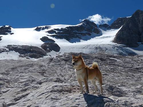 爱游戏官网-LPL联盟公布选手职业发展支持政策，lpl职业选手规定