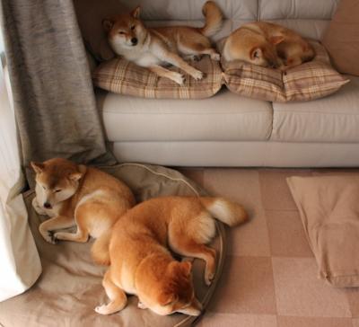 AYX体育-拜仁慕尼黑球员在比赛中展现出色的进攻能力，夺得胜利，拜仁慕尼黑球队