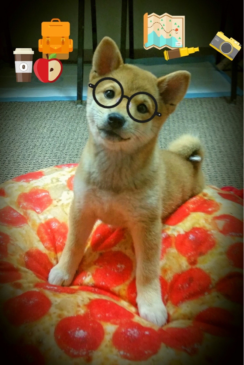 爱游戏娱乐平台-深圳马可波罗球队整体防守表现，深圳马可波罗队主场在哪里