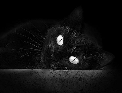 爱游戏app-石油人防守端表现稳固，石油人现场练兵精神