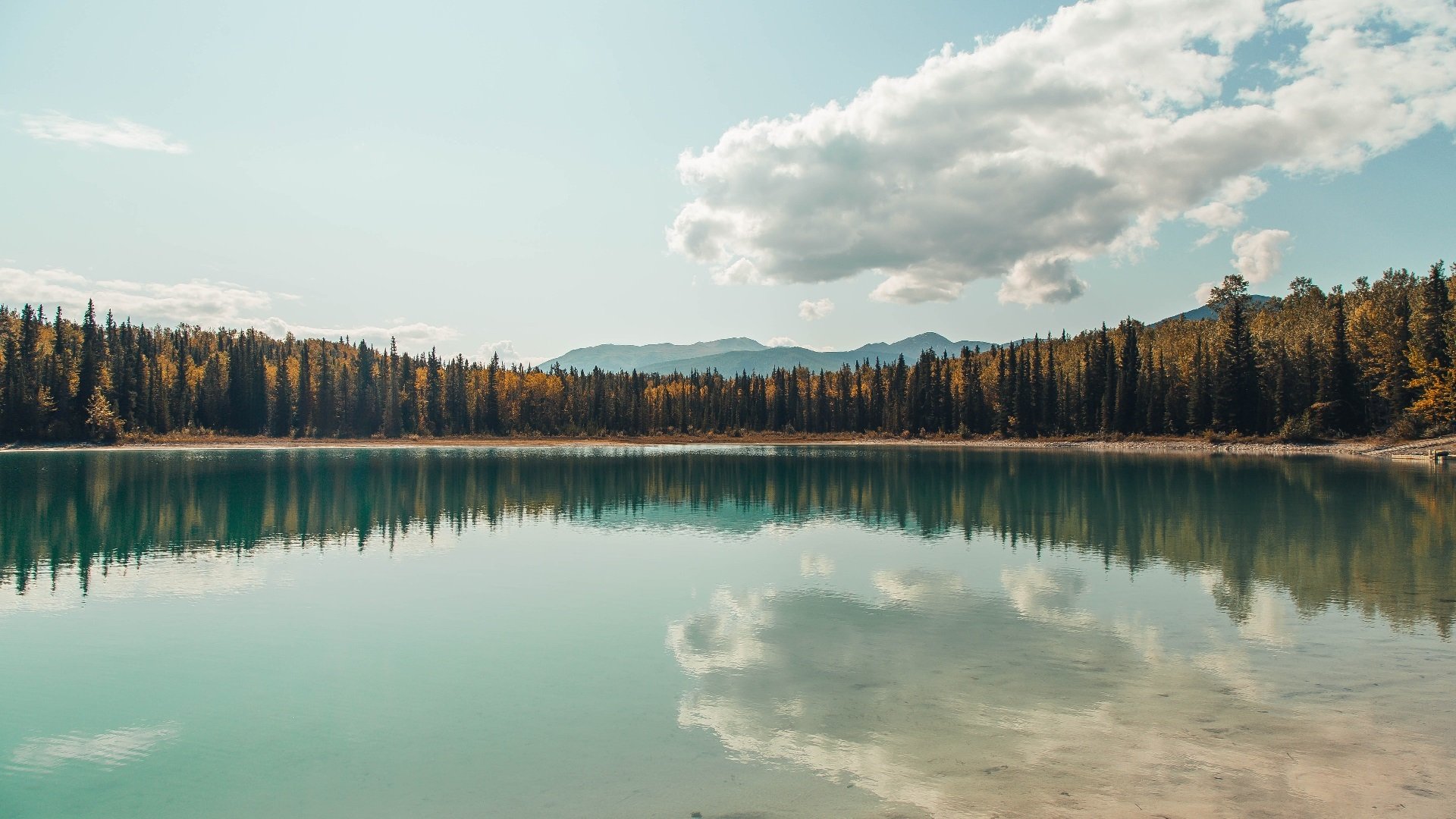 AYX官网-阿森纳遇挫败！客场输球，士气受挫，阿森纳球赛