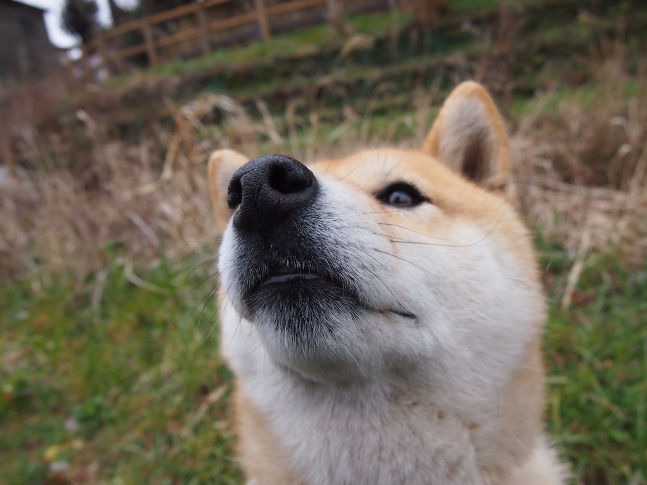 爱游戏官方网站-黄蜂队球队赛季开局表现亮眼，黄蜂队2020