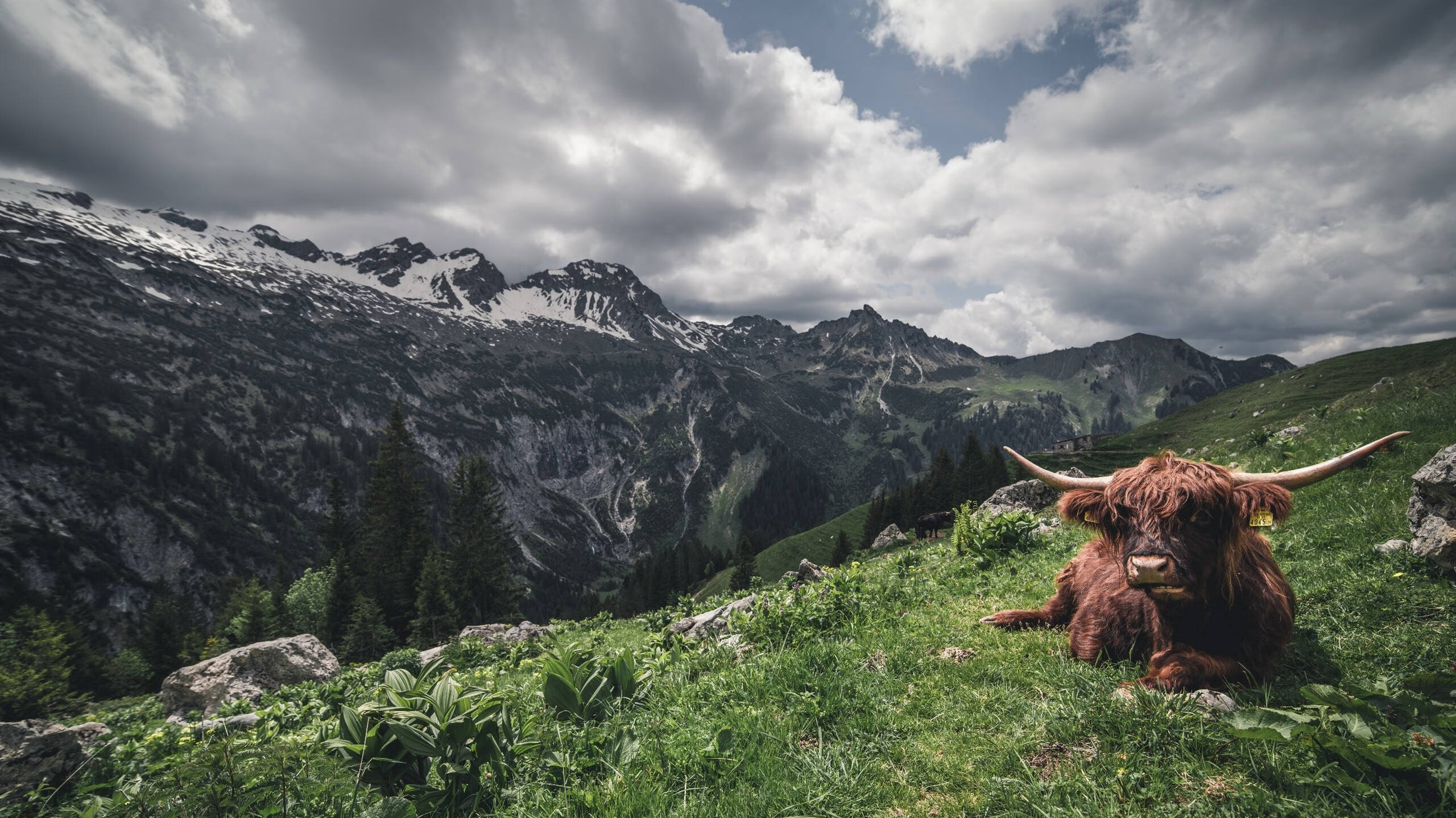 体育场馆智能安防系统设计与实施研究,体育场馆智能化管理