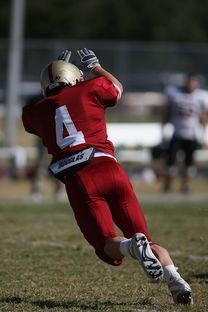 爱游戏体育官方网站-CBA赛季转会期开放多支球队进行大规模阵容调整，cba转会动态2021