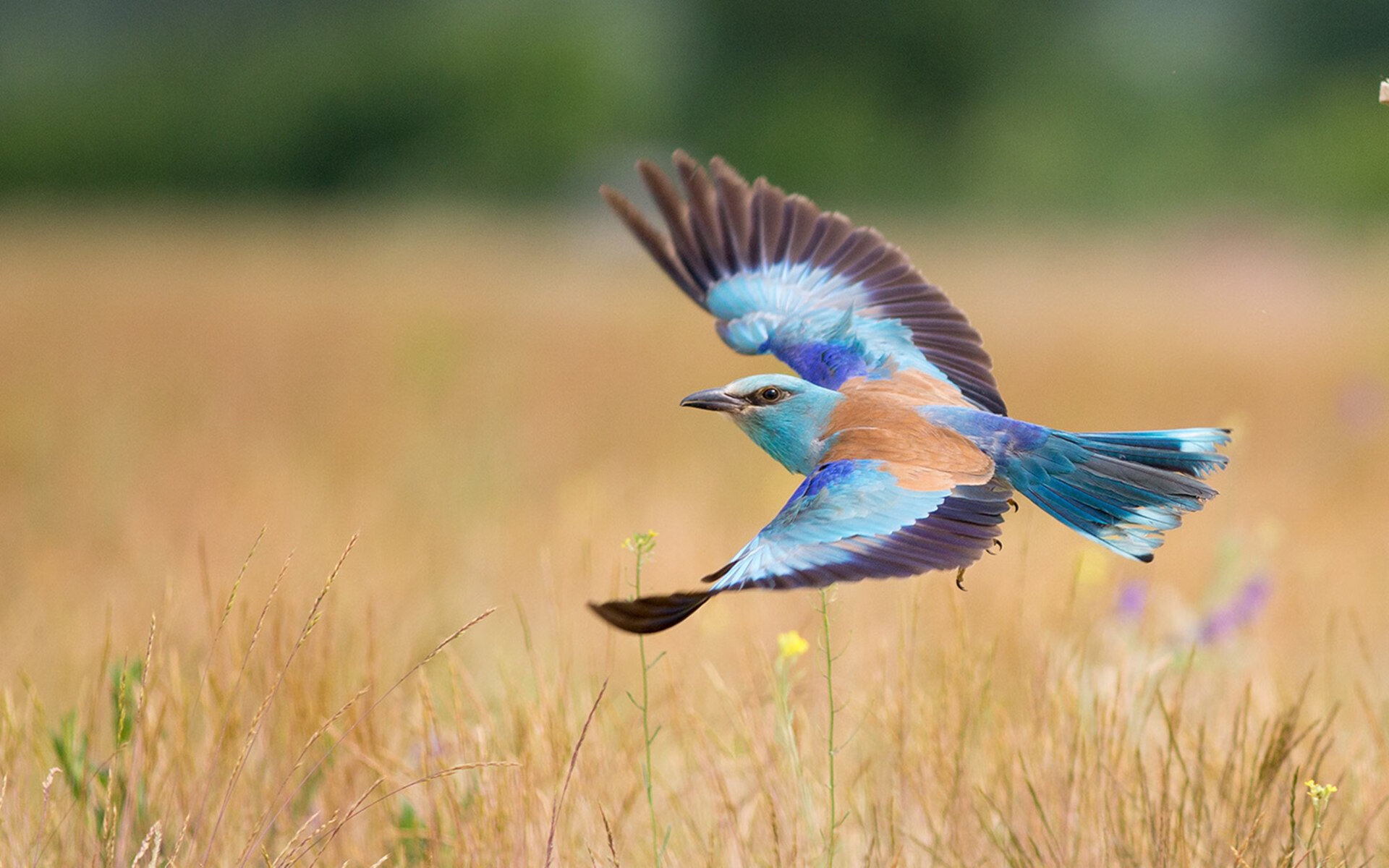 体育新闻中心运动医学专题,体育类新闻报道